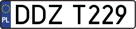 DDZT229