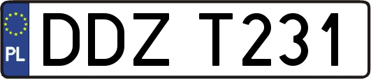 DDZT231