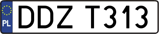 DDZT313