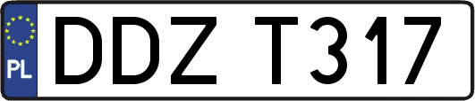DDZT317