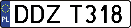 DDZT318