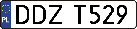 DDZT529