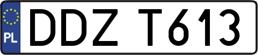 DDZT613