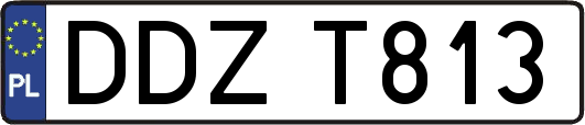 DDZT813