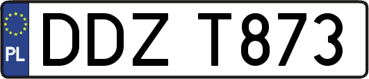 DDZT873