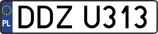 DDZU313
