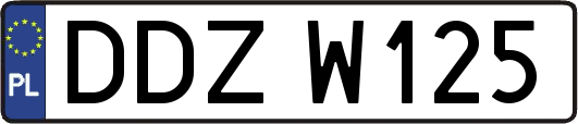 DDZW125