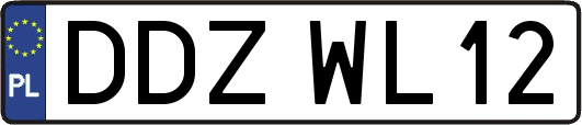 DDZWL12