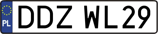 DDZWL29