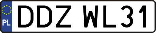 DDZWL31
