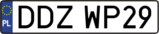 DDZWP29