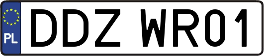 DDZWR01