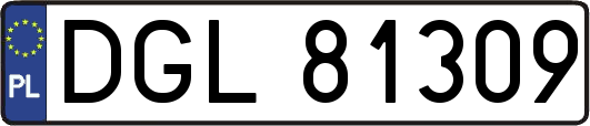DGL81309