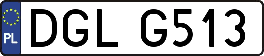 DGLG513