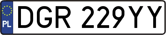 DGR229YY