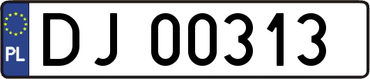 DJ00313