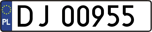 DJ00955
