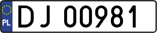 DJ00981