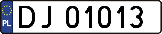 DJ01013