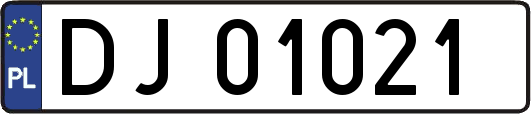 DJ01021
