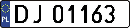 DJ01163