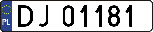 DJ01181