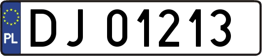 DJ01213