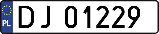 DJ01229