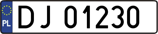 DJ01230