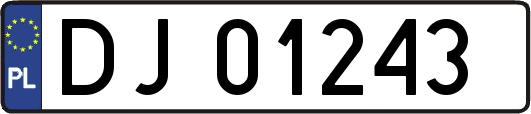 DJ01243