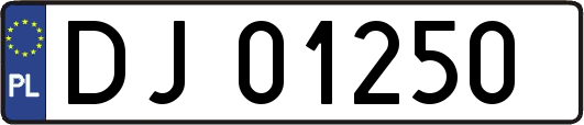 DJ01250