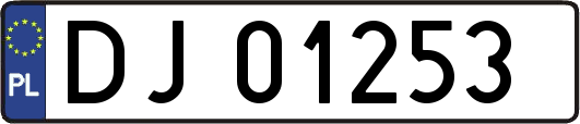 DJ01253
