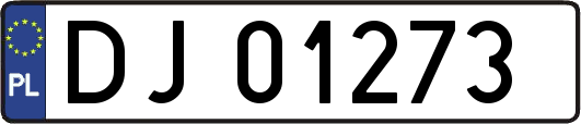 DJ01273