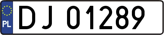 DJ01289