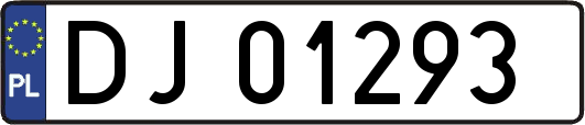 DJ01293