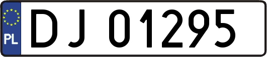 DJ01295