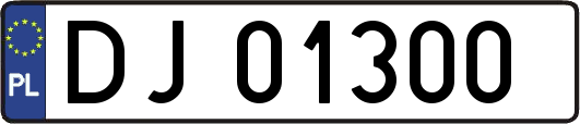 DJ01300