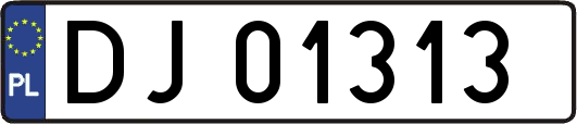 DJ01313