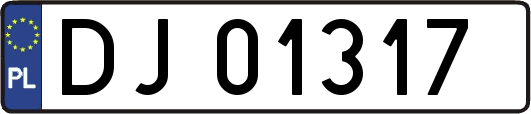 DJ01317