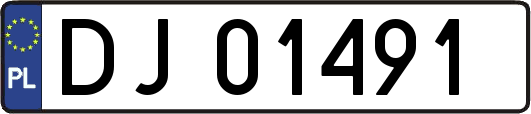 DJ01491