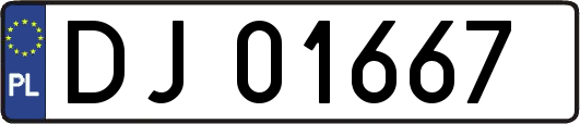 DJ01667