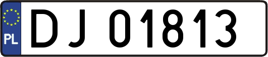 DJ01813