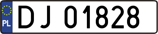 DJ01828