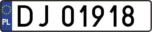 DJ01918