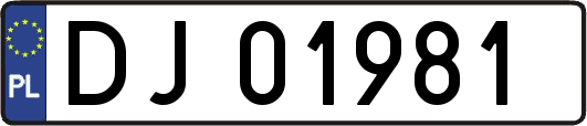 DJ01981