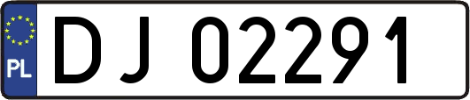 DJ02291