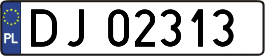 DJ02313