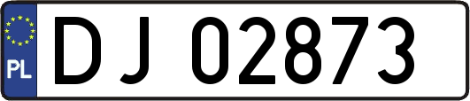 DJ02873