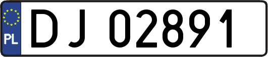 DJ02891