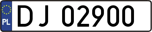 DJ02900